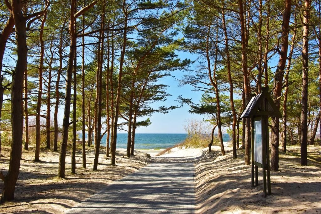 Апартаменты Žalia kopa near the beach Паланга-19